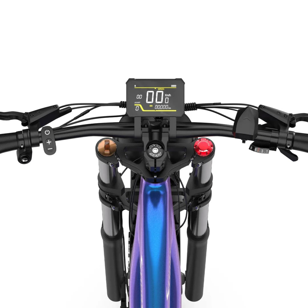 Electric Bike Duotts E26, top view of handlebars with digital display, control buttons and grips.