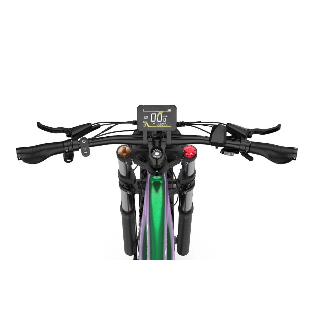 Electric Bike Duotts E26 features a modern handlebar setup with an LCD display, controls, and grips.