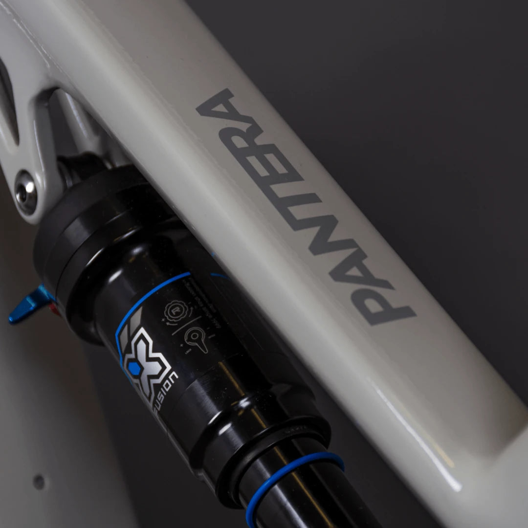 Mountain Electric Bike Econo Pantera C8 140, close-up of shock absorber and frame detail, sleek design.