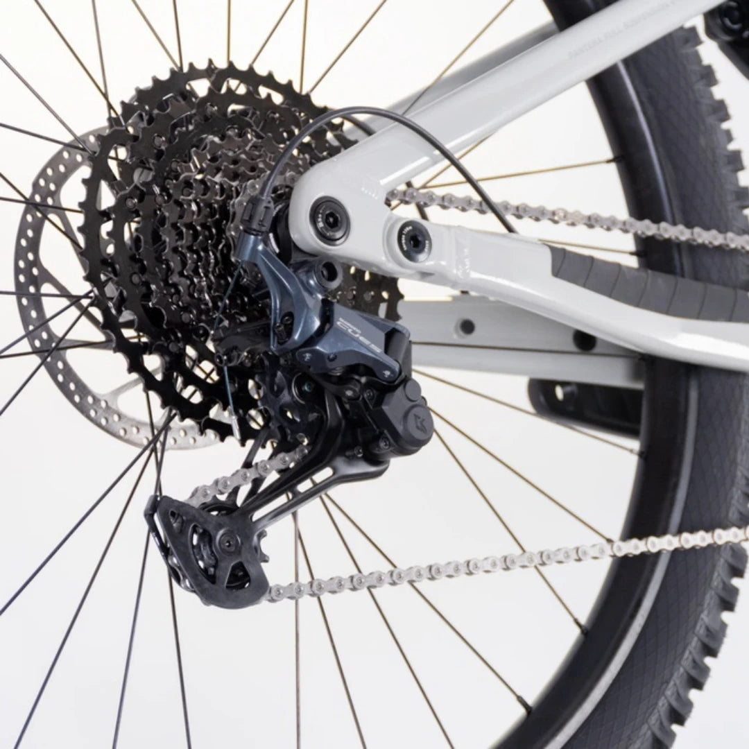 Mountain Electric Bike Econo Pantera C9 160, features a detailed gear system with a rear derailleur and chain.