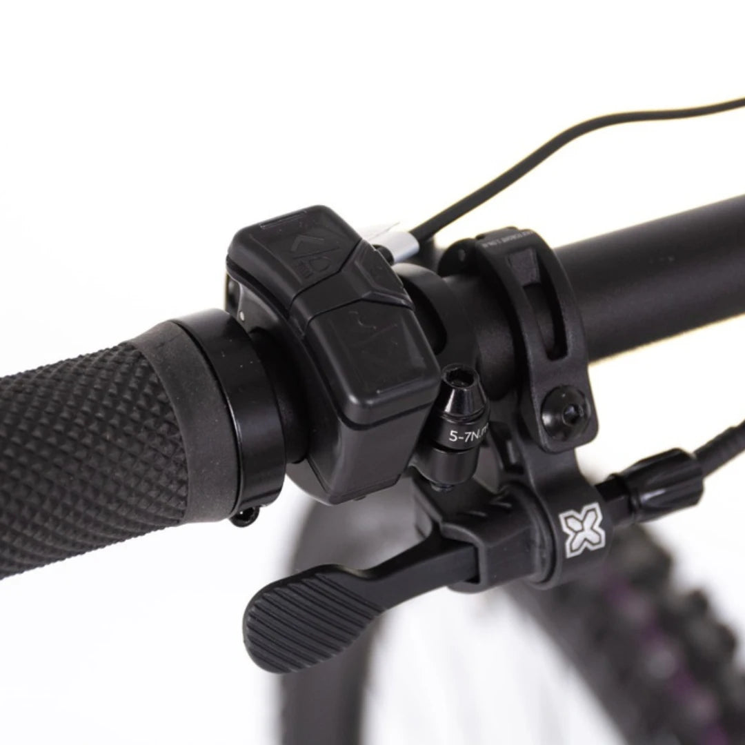 Mountain Electric Bike Econo Pantera C9 160, close-up of handlebar controls and textured grip.