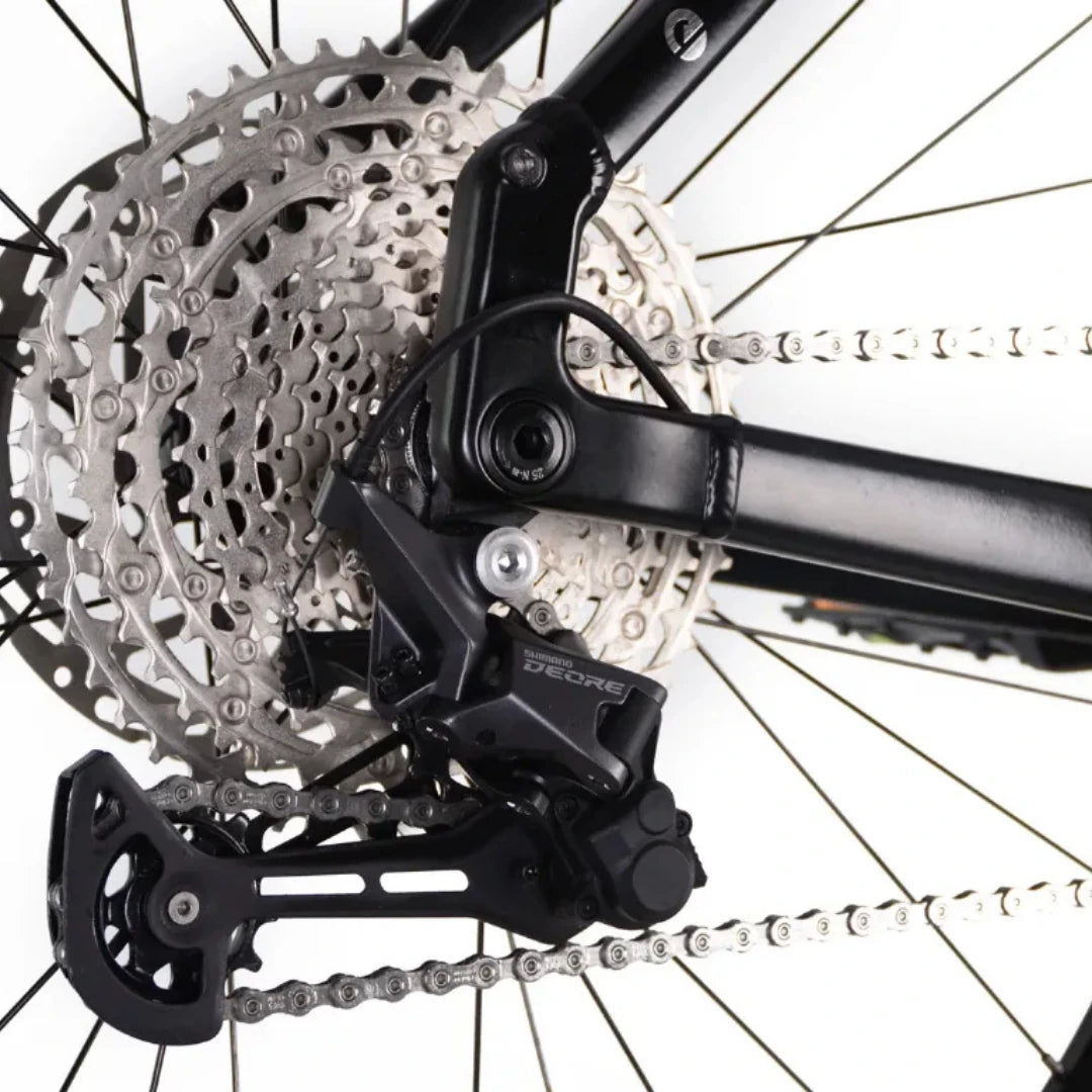 ECONO Gams MTB 29 C6 2026