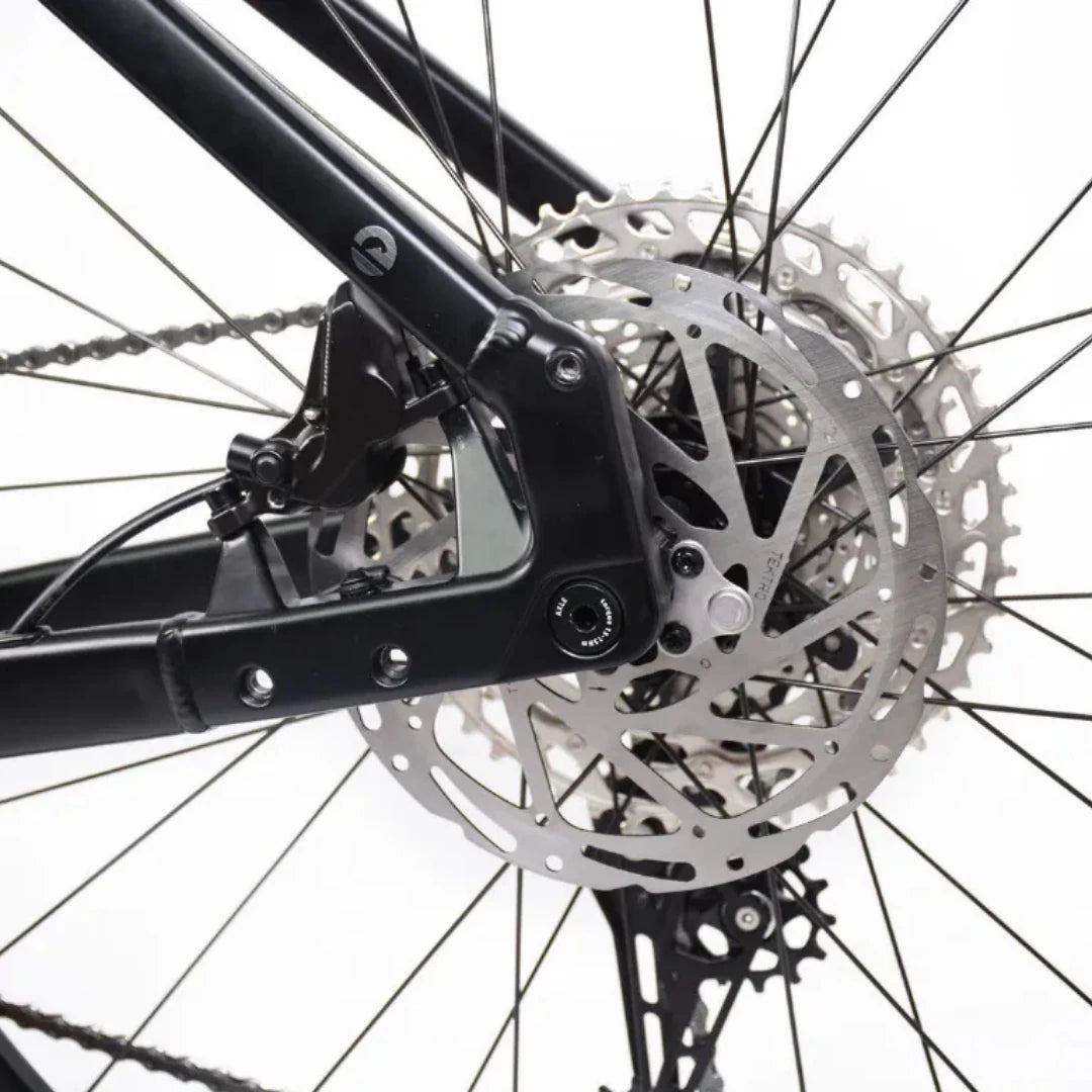 ECONO Gams MTB 29 C6 2026