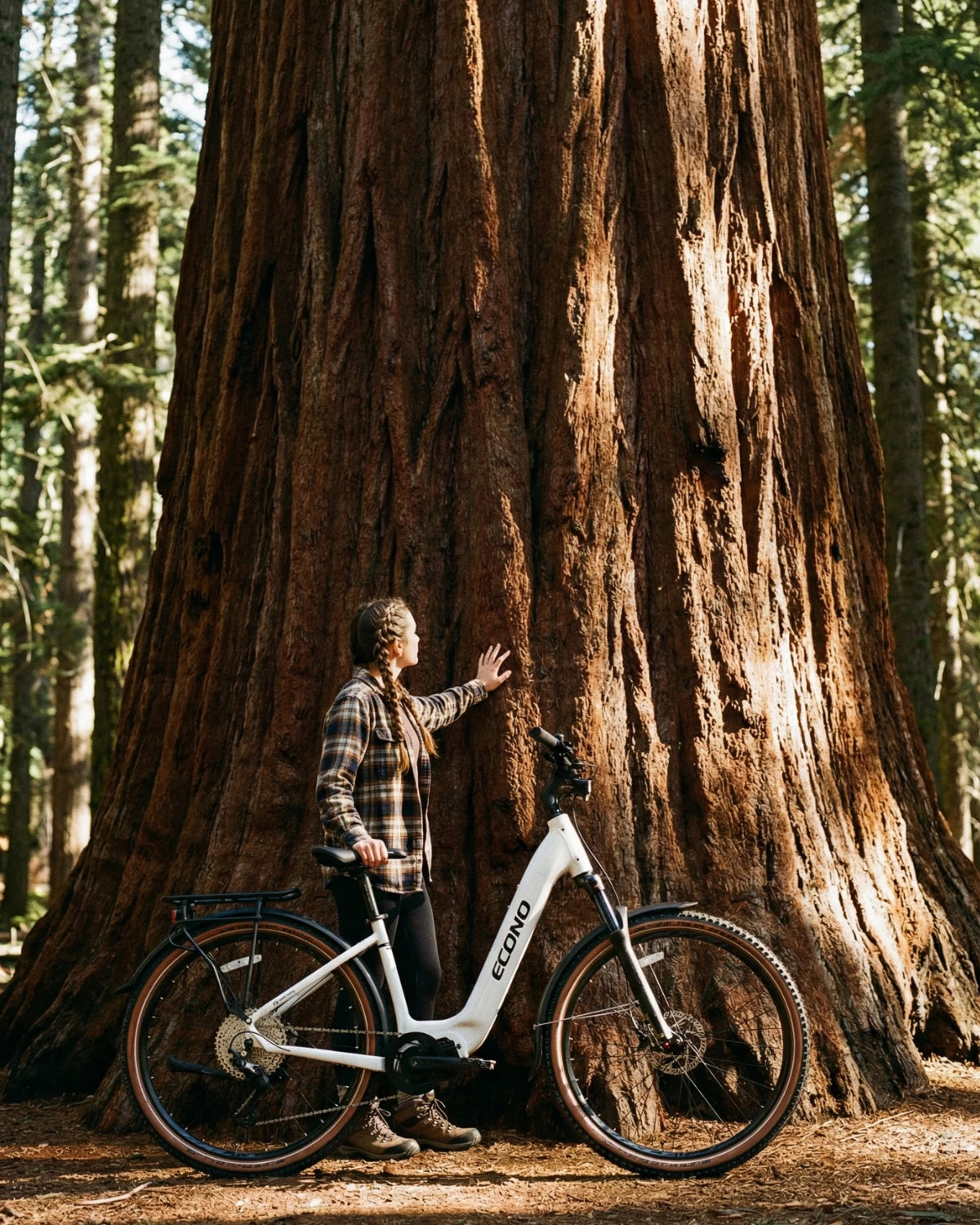 ECONO Gams SUV 29 EEC7 2026