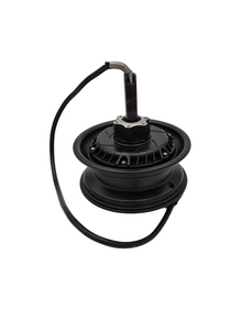 60V 1000W Nami Blast Motor