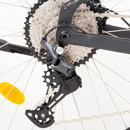 ECONO Gams MTB C5
