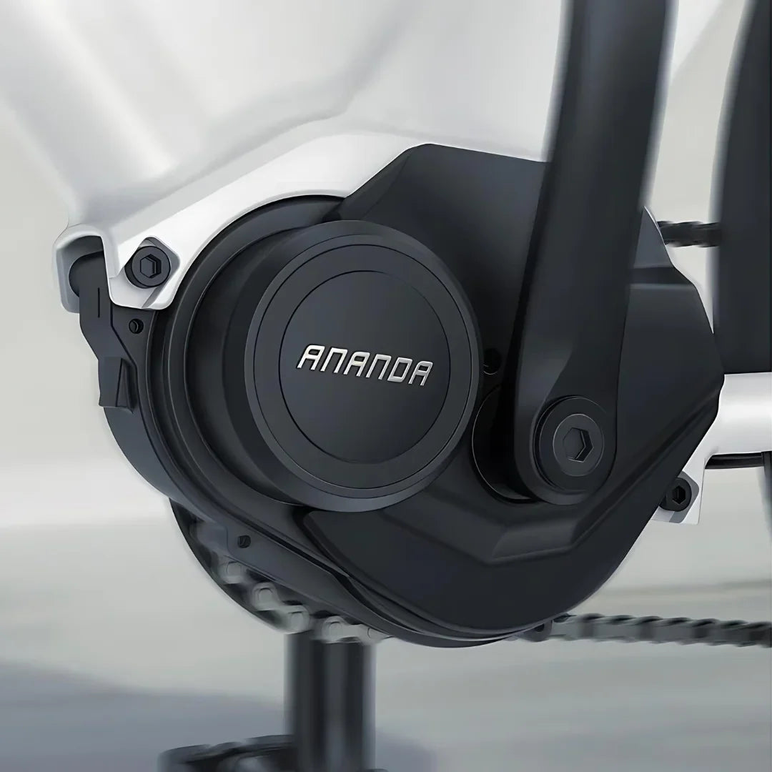 Izdelek je električno kolo, model Engwe P275 ST. Na sliki je prikazan del motorja, ki nosi oznako "ANANDA". Vidna je tudi struktura okvirja kolesa in del verige, kar nakazuje na robustno zasnovo, primerno za električno vožnjo.