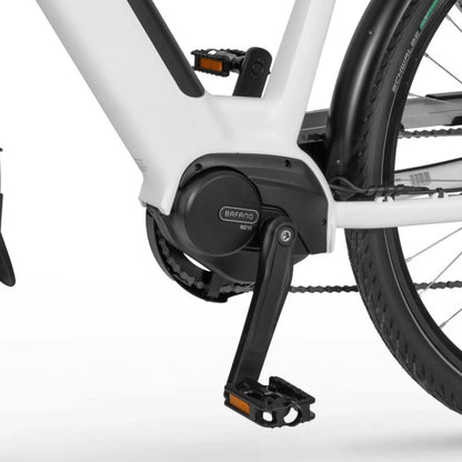 Ecobike LX 100