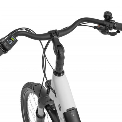Ecobike LX 100
