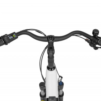 Ecobike LX 100