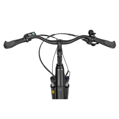 Ecobike LX 100