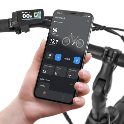 Izdelek na sliki je električno kolo, model Ecobike LX 100. Na sliki je prikazana nadzorna enota na krmilu, ki prikazuje podatke o bateriji in hitrosti, ter pametni telefon, ki je povezan z aplikacijo za upravljanje funkcij kolesa. Uporabnik lahko spremlja različne informacije, kot so prevožena razdalja in nivo pomoči.