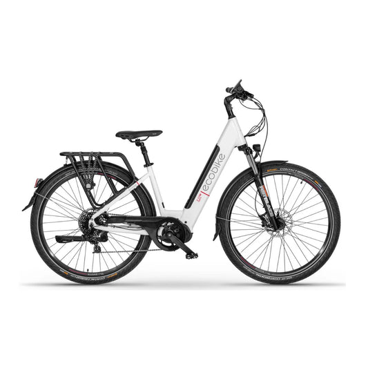 Ecobike LX300