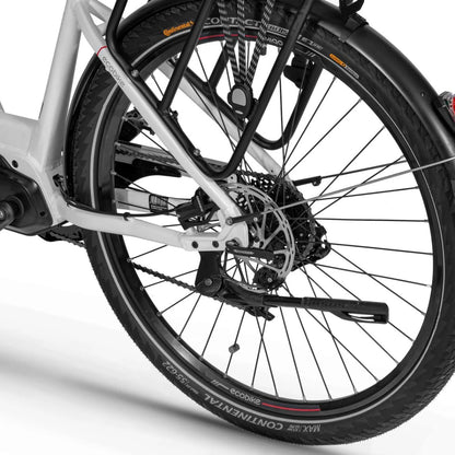 Ecobike LX300