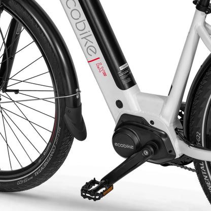Ecobike LX300