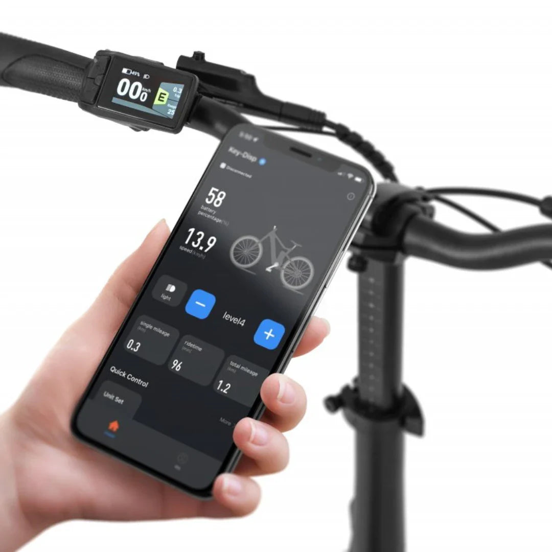 Izdelek je električno kolo, model Rhino Cruise, znamke Ecobike. Na sliki je prikazan krmilo kolesa z digitalnim zaslonom, ki prikazuje podatke o bateriji in hitrosti. V roki je mobilni telefon, ki prikazuje aplikacijo za spremljanje in upravljanje funkcij kolesa, kot so nivoji moči in prevožena razdalja.