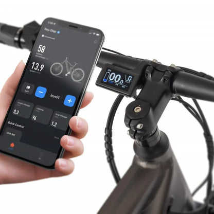 Izdelek je električno kolo, model Ecobike SX300. Na sliki je prikazana roka, ki drži pametni telefon, na katerem je aplikacija za spremljanje podatkov o kolesu. Vidna je tudi digitalna naprava na krmilu, ki prikazuje podatke, kot so prevožena razdalja in stanje baterije.