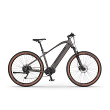 Mountain Electric Bike Ecobike Sx300 features a sleek design, durable frame, powerful motor, and rugged tires.