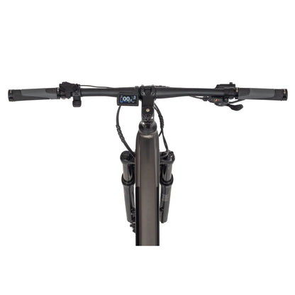 Ecobike SX300