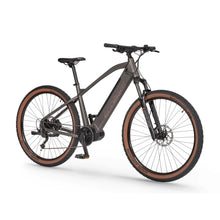 Mountain Electric Bike Ecobike Sx300, matte gray frame, fat tires, front suspension, ideal for outdoor trails.