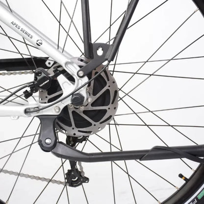 ECONO Apes CITY EER4 2026