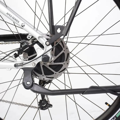 ECONO Apes CITY EER4 2026