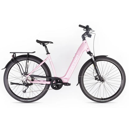 ECONO Apes CITY EER4 2026
