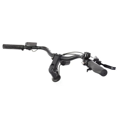ECONO Apes CITY EER4 2026