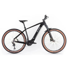 ECONO Gams MTB 29 C6 2026