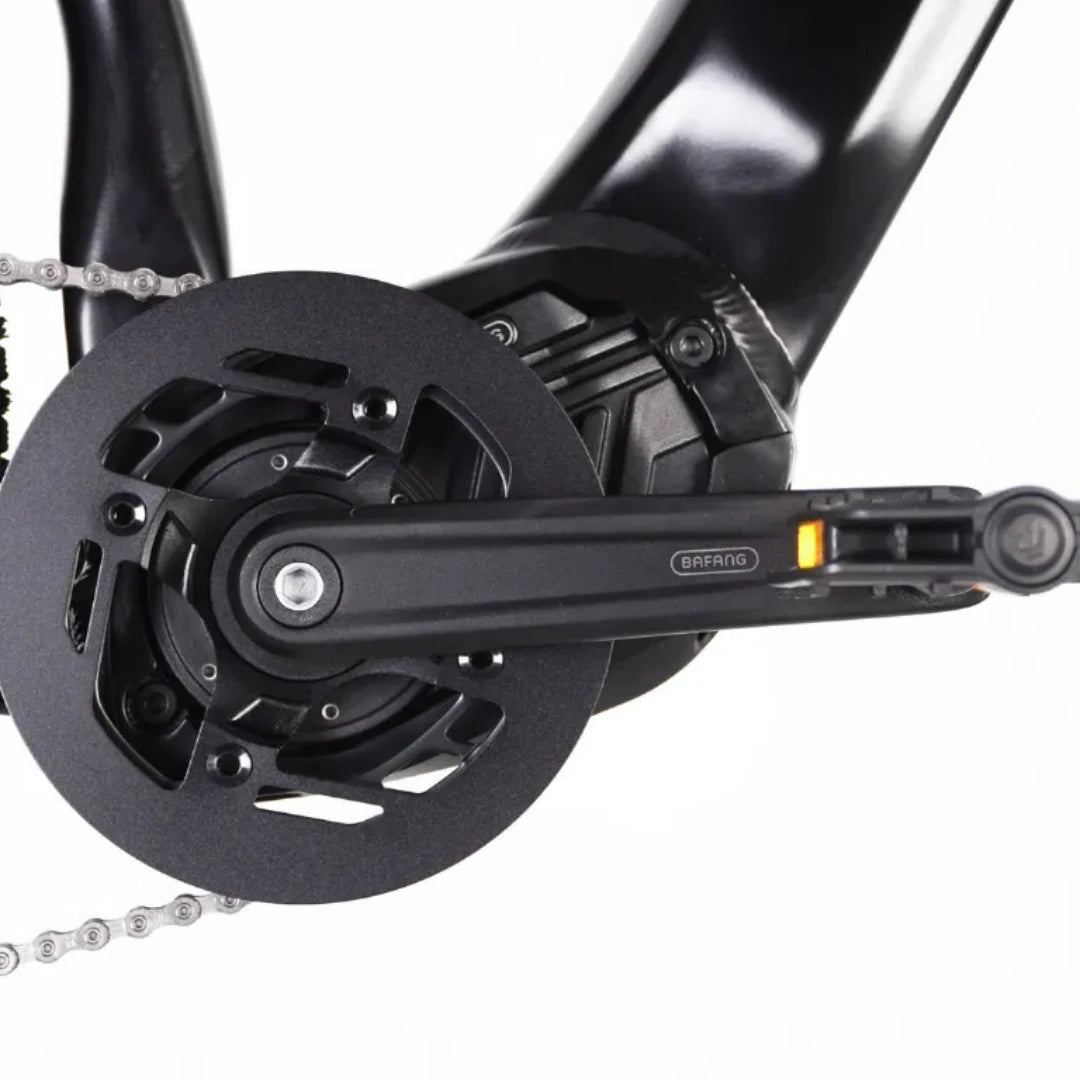 ECONO Gams MTB 29 C6 2026