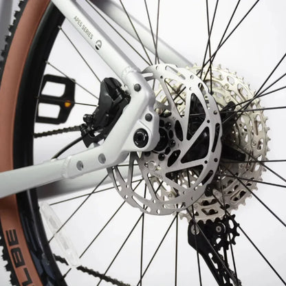 ECONO Gams MTB 29 EEC6 2026