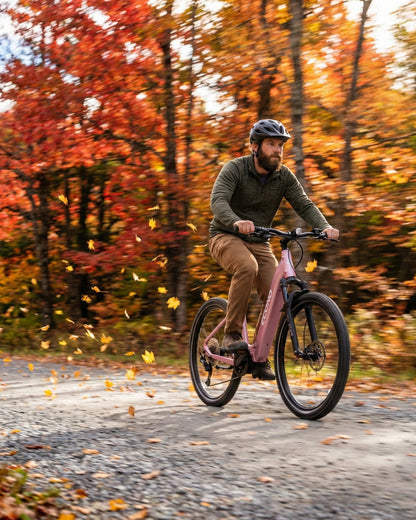 ECONO Gams MTB 29 EEC6 2026