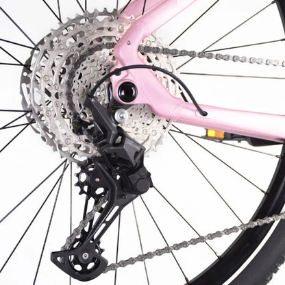 ECONO Gams MTB 29 EEC6 2026