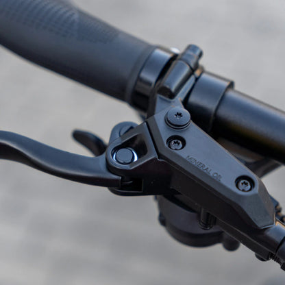 Engwe Engine Pro 2.0