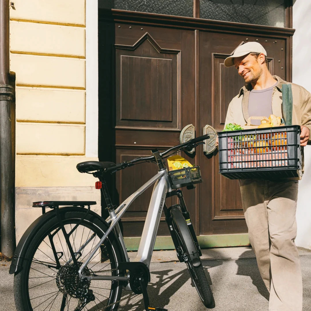 tenways ago-x trekking-e-bike TENWAYS AGO X Classic Edition with -25% subsidy