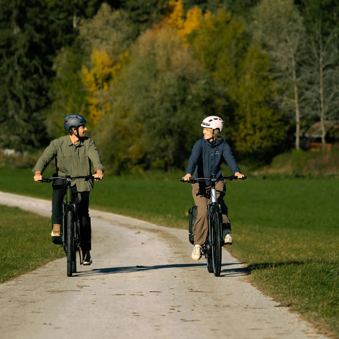 tenways ago-x trekking-e-bike TENWAYS AGO X Classic Edition with -25% subsidy