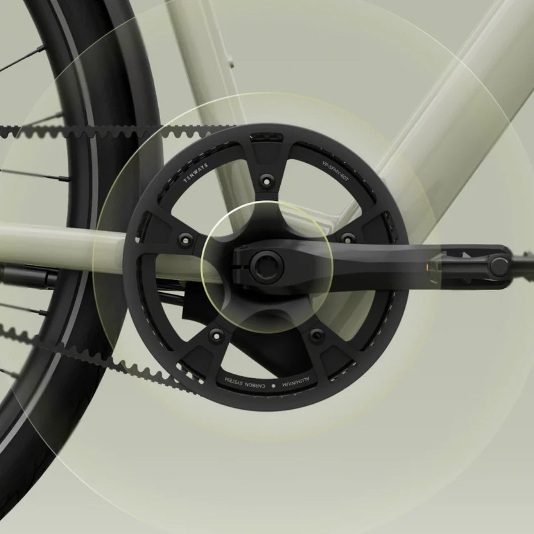 TENWAYS CGO600 (Pro & Plus)