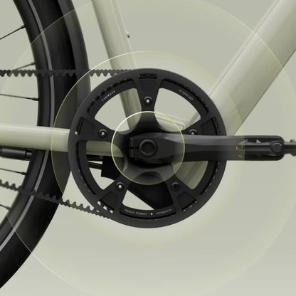 TENWAYS CGO600 (Pro & Plus)