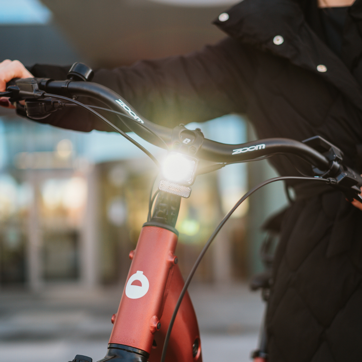 Na sliki je električno kolo, model Econo Apes EER4. Vidna je ročica kolesa z ročajem in lučko na sprednjem delu, kar nakazuje na funkcionalnost in varnost pri vožnji. Kolo ima rdečo barvo okvirja in je postavljeno v urbani okolici. Oseba, ki ga drži, nosi črno zimsko jakno.