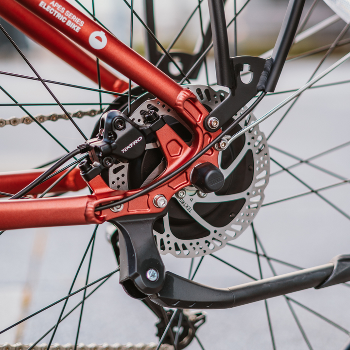 Na sliki je električno kolo znamke Econo, model Apes EER4. Vidna je zadnja stran kolesa, kjer so prikazani disk zavore in del pogonskega sistema. Kolo ima rdečo barvo okvirja ter sodobno zasnovo z vidnimi komponentami, kot so zavora in menjalnik.