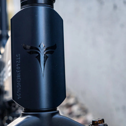 Posnetek od blizu detajla okvirja na električnem kolesu Engwe Engine Pro 2.0.