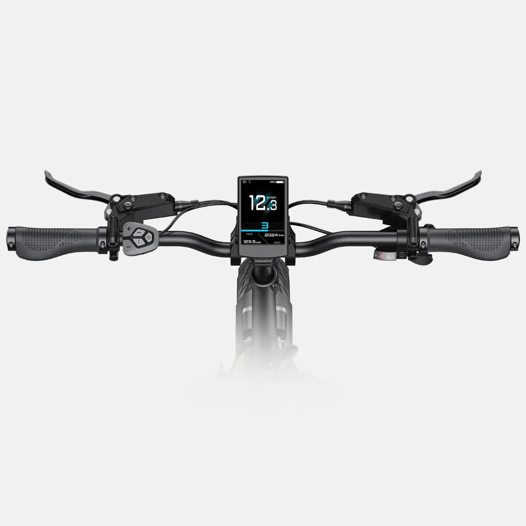 Izdelek je električno kolo, znamke Engwe, model L20 3.0 Pro. Na sliki je prikazano krmilo kolesa z digitalnim zaslonom, ki prikazuje hitrost in druge podatke. Vidni so tudi ročaji in zavorni mehanizmi, kar nakazuje na sodobno zasnovo in funkcionalnost kolesa.