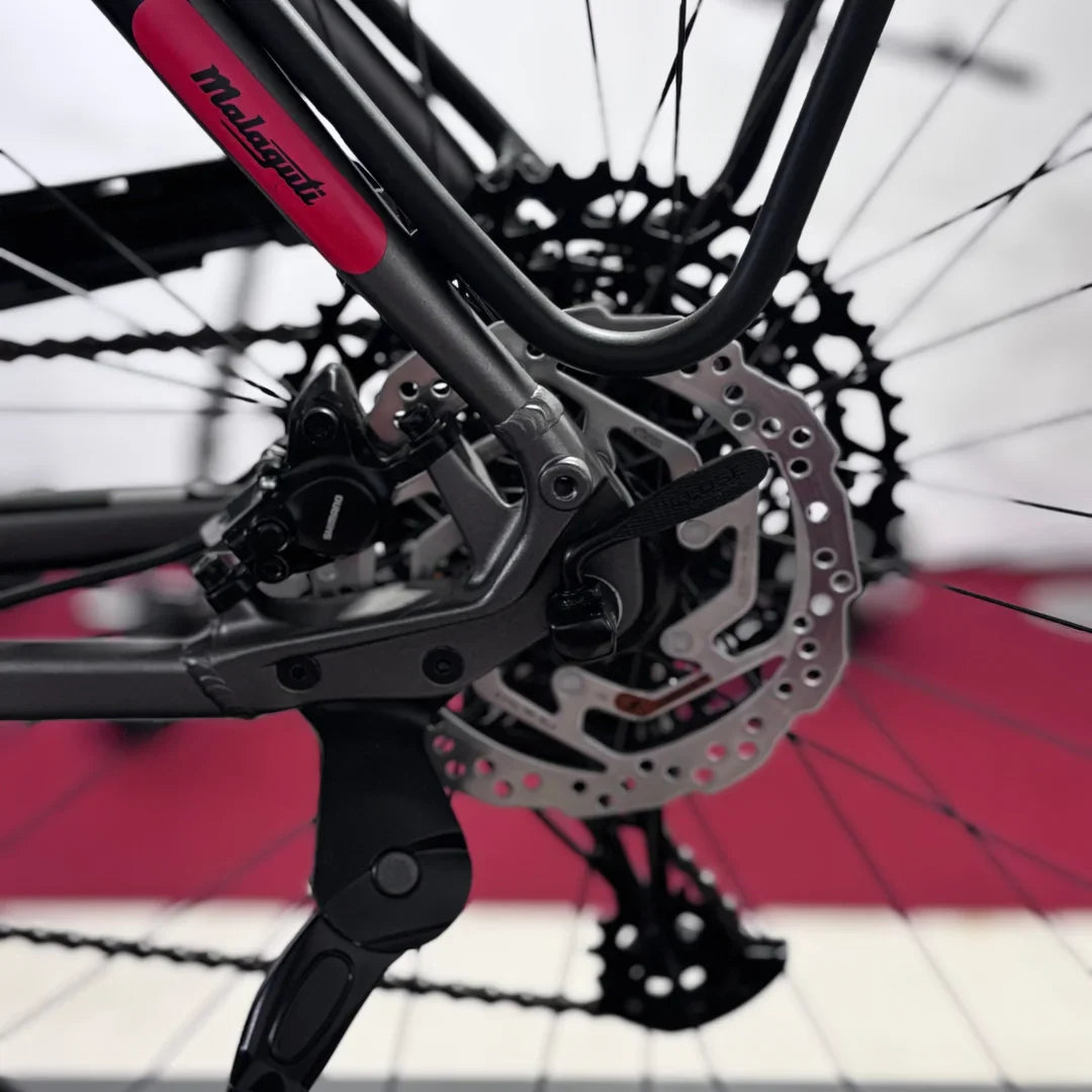 Izdelek je električno kolo znamke Malaguti, model Bolonina. Na sliki je prikazan del kolesa, kjer so vidni menjalnik, zavorni sistem in veriga. Barvna kombinacija vključuje sivo in roza, kar daje sodoben videz. Kolo je zasnovano za udobno in učinkovito vožnjo.