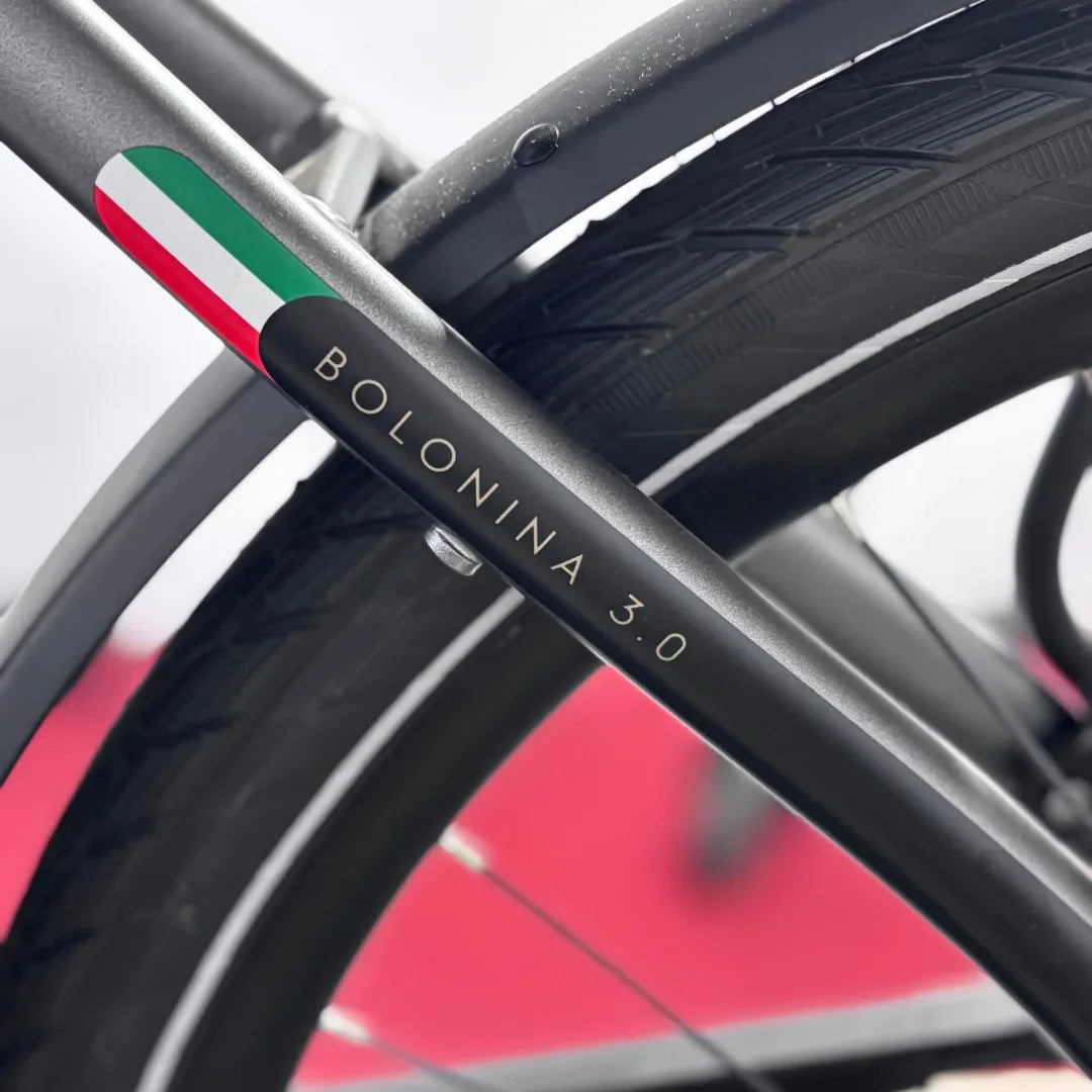 Izdelek na sliki je električno kolo znamke Malaguti, model Bolonina 3.0. Na sliki je prikazan del okvirja kolesa, kjer je jasno vidna oznaka modela in italijanska zastava v barvah rdeče, bele in zelene. Kolo ima sodoben dizajn in je opremljeno z debelimi pnevmatikami, kar nakazuje na udobno vožnjo.