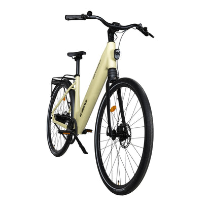 MS Energy C300