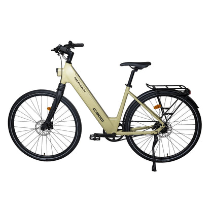 MS Energy C300