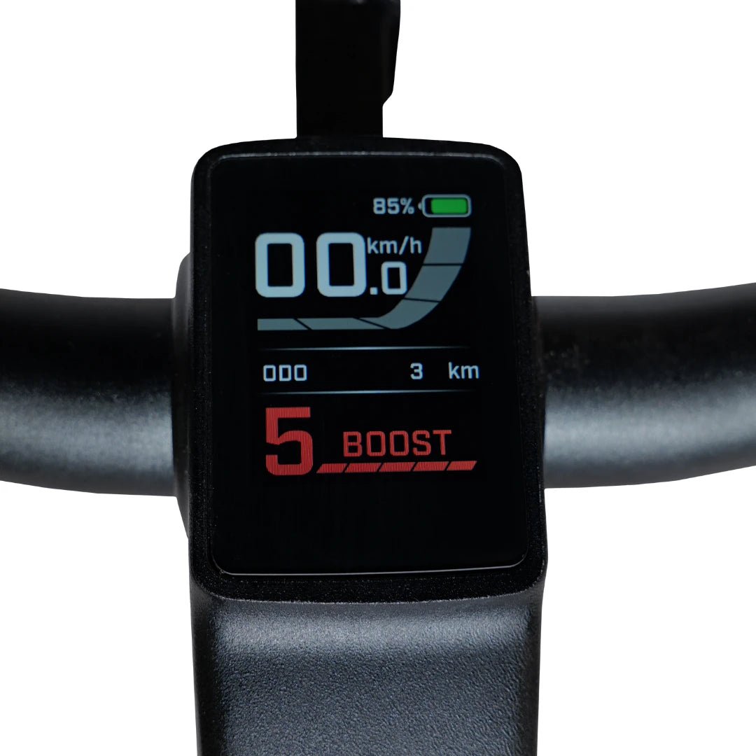 Electric Bike Ms Energy Suv C502 features a clear digital display showing speed, distance, and battery level.