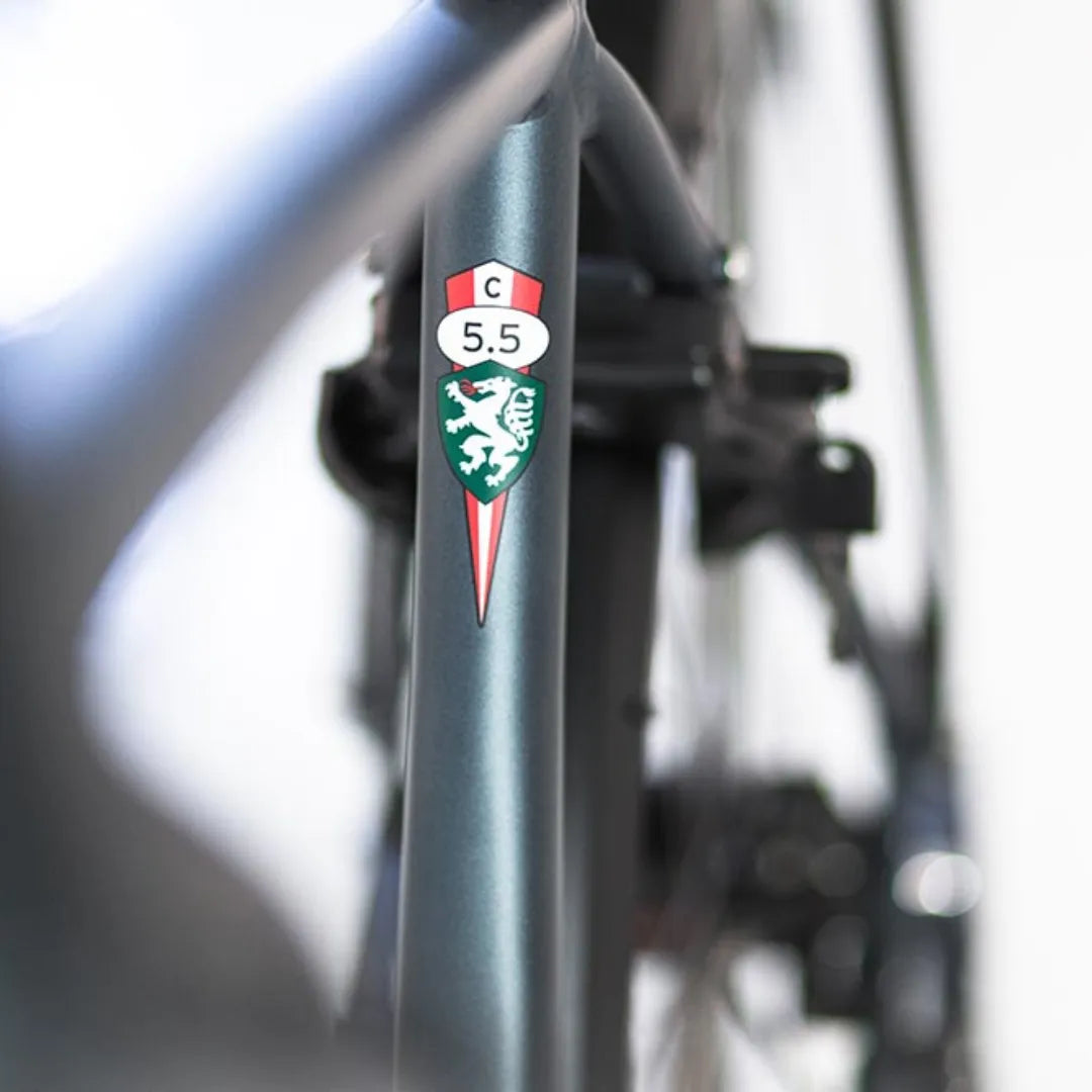 Od blizu posnet okvir, ki prikazuje logotip: Electric Bike Puch C 5 5.