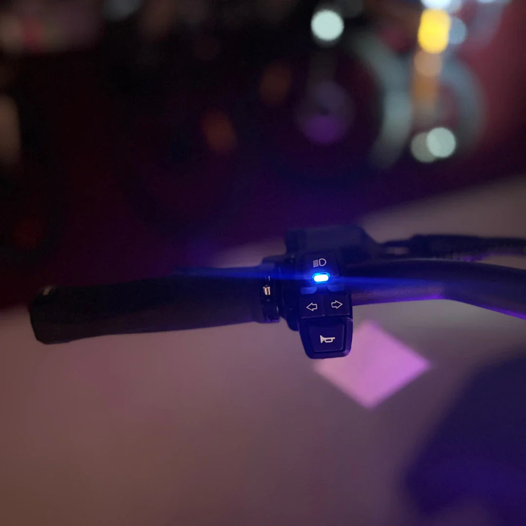 Na sliki je prikazan električni skiro znamke Teverun, model Fighter Mini Pro 2025. Vidni so upravljalni elementi na krmilu, vključno z gumbi za luči in druge funkcije, ter modra LED lučka, ki kaže na aktivnost. Ozadje je zamegljeno, kar daje poudarek na detajle krmila.