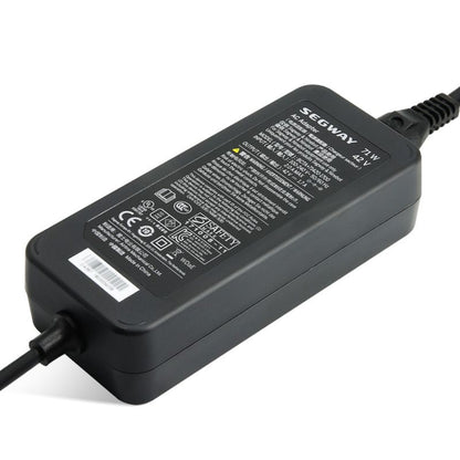 Original charger for electric scooter Segway Ninebot ES2